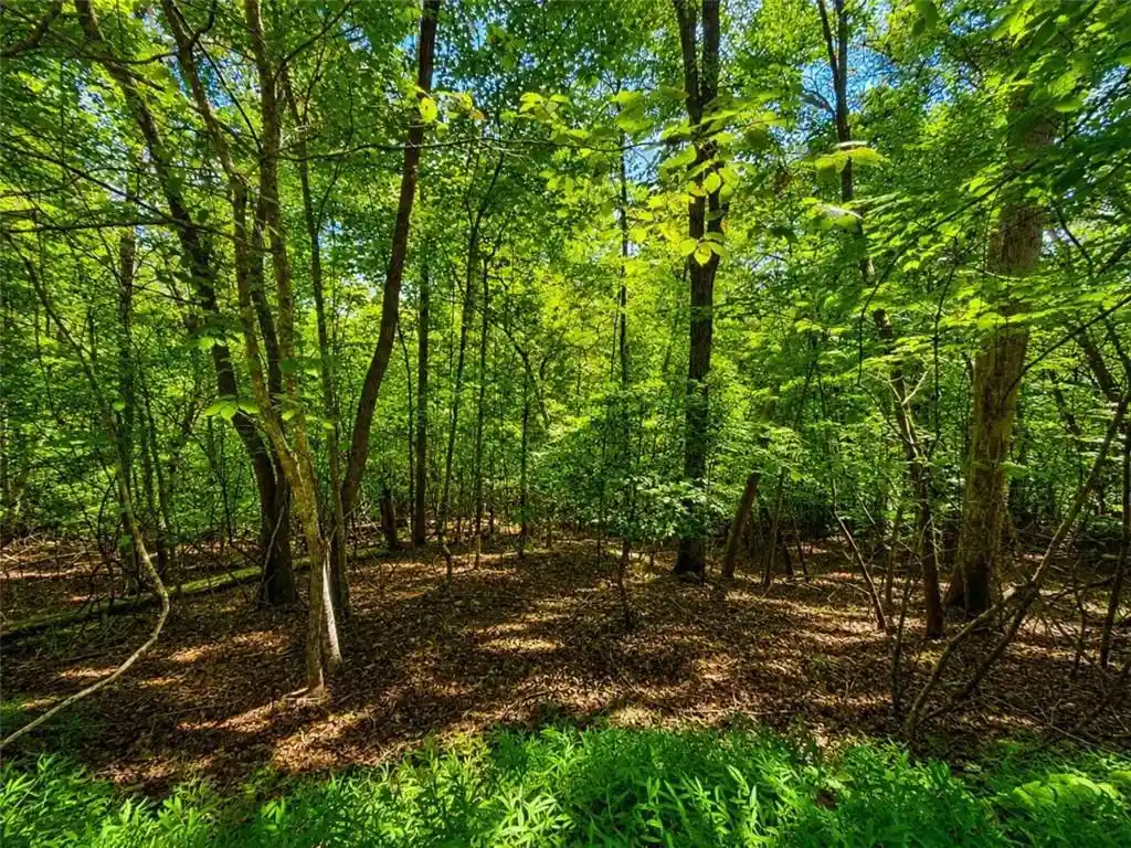 Land for sale at Lt 101 Gateway Dr, Ellijay, GA 30540 | MLS# 7839620