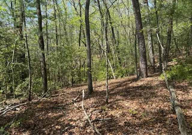 1st image of Lot 9 Marjorie Ave, Ellijay, GA 30536 | MLS# 7751956