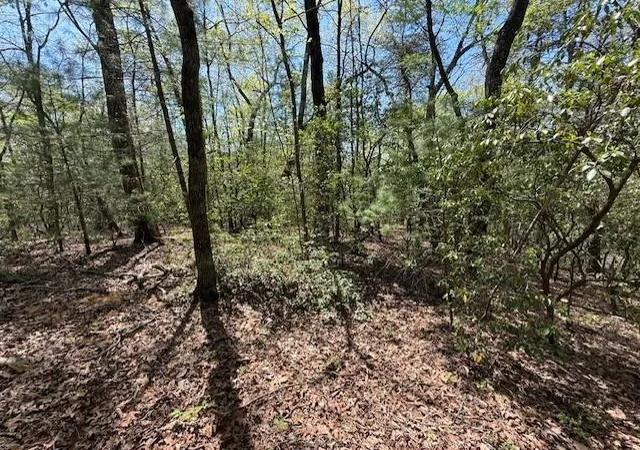 2nd image of Lot 9 Marjorie Ave, Ellijay, GA 30536 | MLS# 7751956