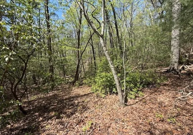 3rd image of Lot 9 Marjorie Ave, Ellijay, GA 30536 | MLS# 7751956