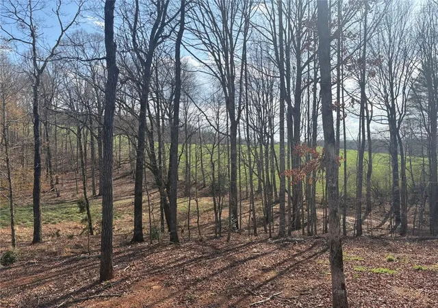 4th image of 643 Old Ridge Rd, Demorest, GA 30535 | MLS# 7742966