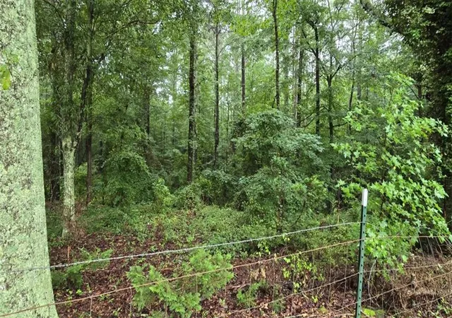Photo 1 of Sale Pending at 0 Bob Holman Rd, Athens, GA 30607 | MLS# 7820978 | Listing updated on 2026-08-31