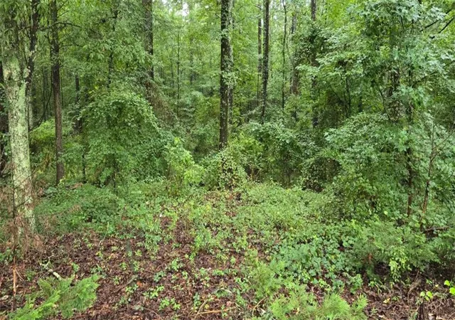 Photo 5 of Sale Pending at 0 Bob Holman Rd, Athens, GA 30607 | MLS# 7820978 | Listing updated on 2026-08-31