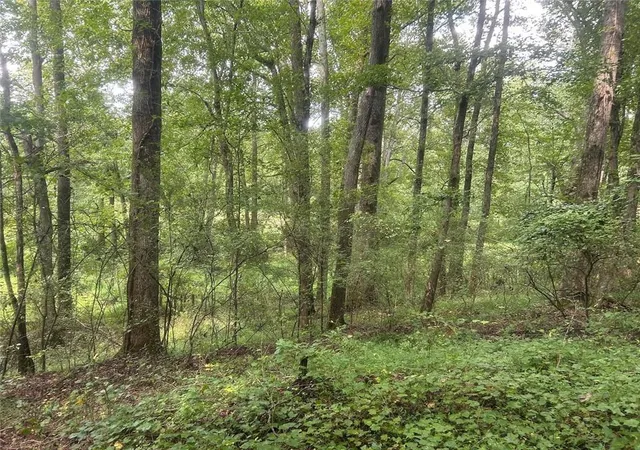 Photo 24 of Land for sale at 0 Attaway Rd 922, Bowdon, GA 30108 | MLS# 7760851 | Listing updated on 2026-08-24