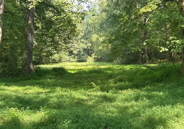 Photo 2 of Land for sale at 0 Attaway Rd 922, Bowdon, GA 30108 | MLS# 7760851 | Listing updated on 2026-08-24