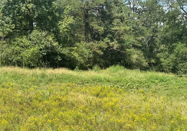 Photo 3 of Land for sale at 0 Attaway Rd 922, Bowdon, GA 30108 | MLS# 7760851 | Listing updated on 2026-08-24