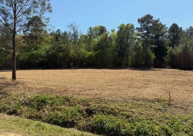 Homes for sale in Taylorsville, GA | 84 Popham Road Tract 2, Taylorsville, GA 30178 | MLS# 7742881