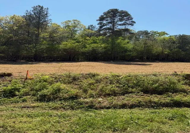 Homes for sale in Taylorsville, GA | 84 Popham Road Tract 2, Taylorsville, GA 30178 | MLS# 7742881