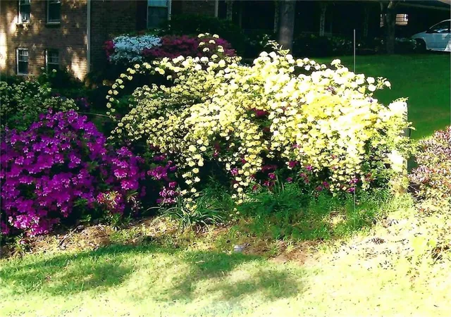 69th image of 1420 Virgil Ln Sw, Mableton, GA 30126 | MLS# 7775638