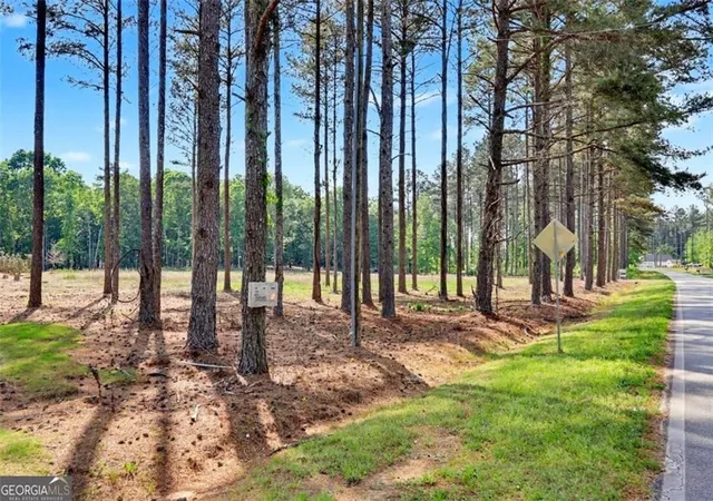 14th image of 1110 Locklin Rd, Monroe, GA 30655 | MLS# 7809719