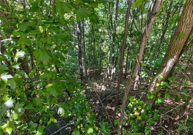 Photo 4 of Land for sale at 1179 Wood Trace Ln, Auburn, GA 30011 | MLS# 7828521 | Listing updated on 2026-08-28