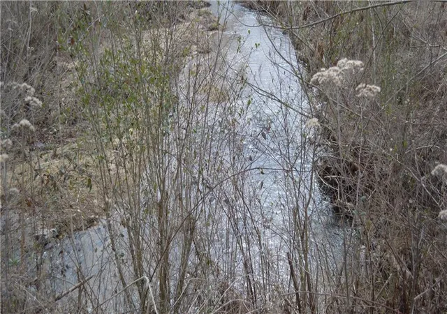 2nd image of 0 S Old Hwy 5 Rd S, Talking Rock, GA 30175 | MLS# 7712182