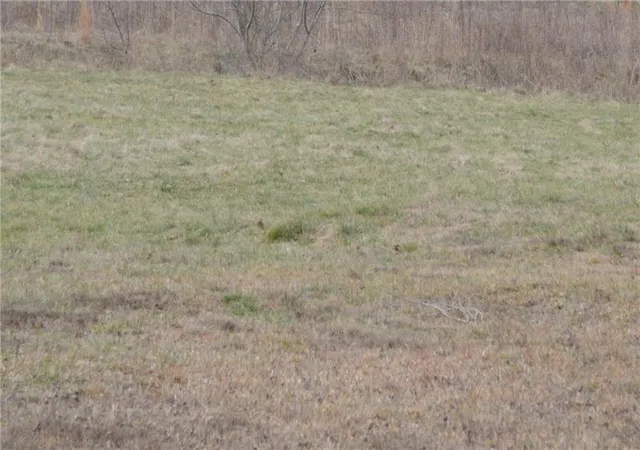 Photo 3 of Land for sale at 0 S Old Hwy 5 Rd, Talking Rock, GA 30175 | MLS# 7712182 | Listing updated on 2026-07-29