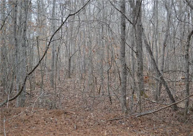 Photo 4 of Land for sale at 0 S Old Hwy 5 Rd, Talking Rock, GA 30175 | MLS# 7712182 | Listing updated on 2026-07-29