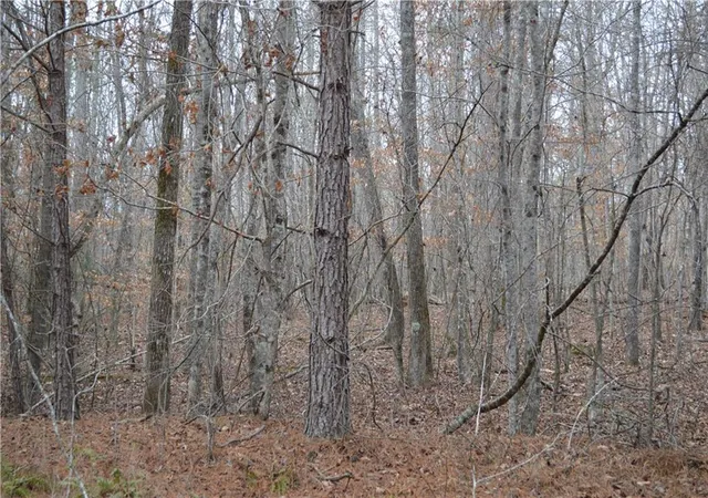 6th image of 0 S Old Hwy 5 Rd S, Talking Rock, GA 30175 | MLS# 7712182