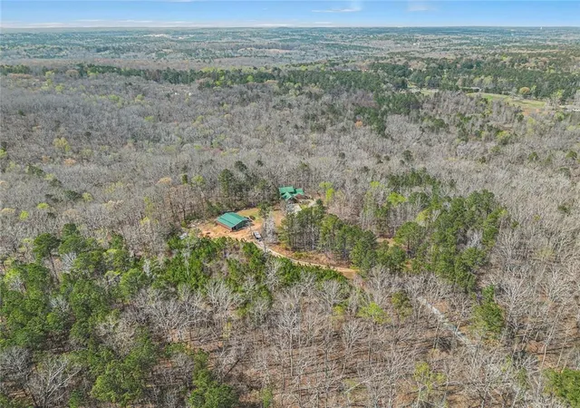 41st image of 9150 W Banks Mill Rd, Winston, GA 30187 | MLS# 7788704