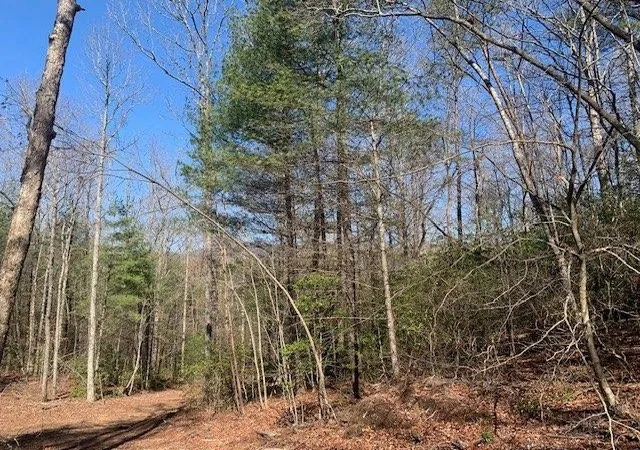 1st image of 0 East New Hope Rd, Ellijay, GA 30536 | MLS# 7817502