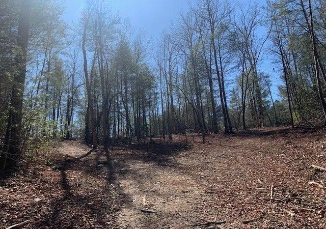 2nd image of 0 East New Hope Rd, Ellijay, GA 30536 | MLS# 7817502