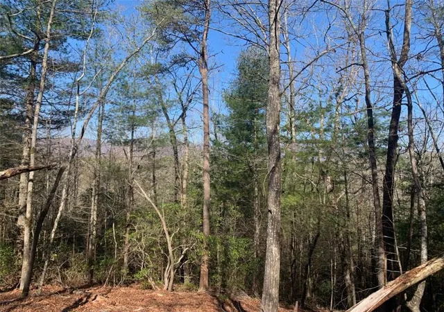 5th image of 0 East New Hope Rd, Ellijay, GA 30536 | MLS# 7817502