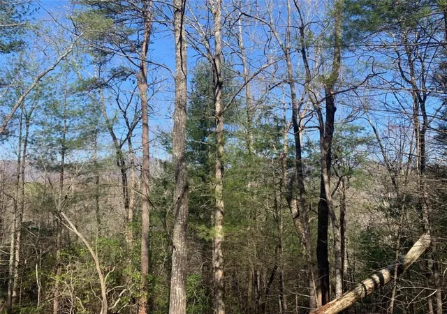 7th image of 0 East New Hope Rd, Ellijay, GA 30536 | MLS# 7817502