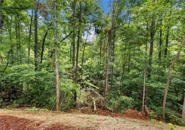 Homes for sale in Braselton, GA | 5377 Stillwater Ln, Braselton, GA 30517 | MLS# 7799218