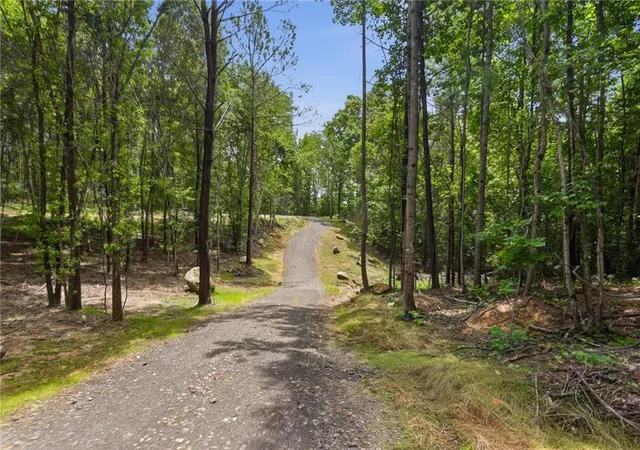 3rd image of Lot 1 Pete Path, Dallas, GA 30157 | MLS# 7796137