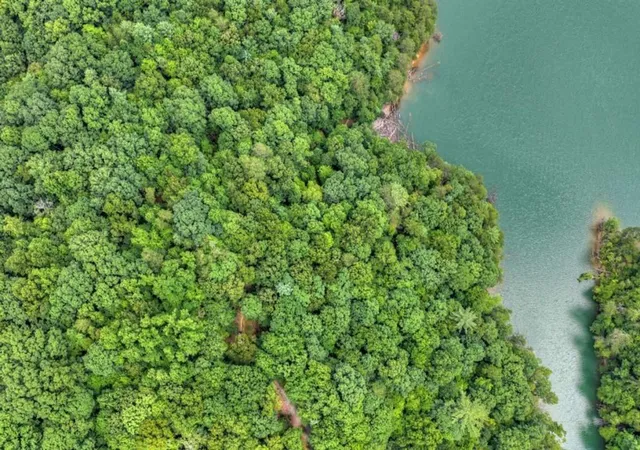 Photo 3 of Land for sale at Lt 60 Necowa Cvs Overlook, Blue Ridge, GA 30513 | MLS# 7818769 | Listing updated on 2026-08-10