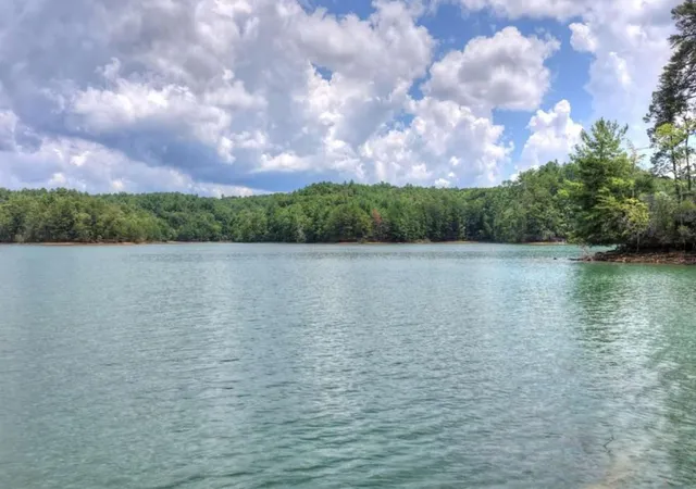 Photo 4 of Land for sale at Lt 60 Necowa Cvs Overlook, Blue Ridge, GA 30513 | MLS# 7818769 | Listing updated on 2026-08-10