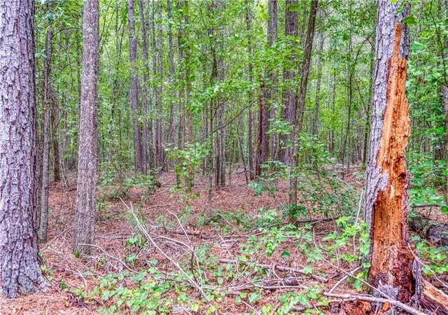 10th image of 130 Levi Trl, Nicholson, GA 30565 | MLS# 7821848
