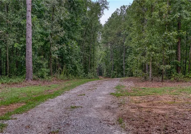 3rd image of 130 Levi Trl, Nicholson, GA 30565 | MLS# 7821848
