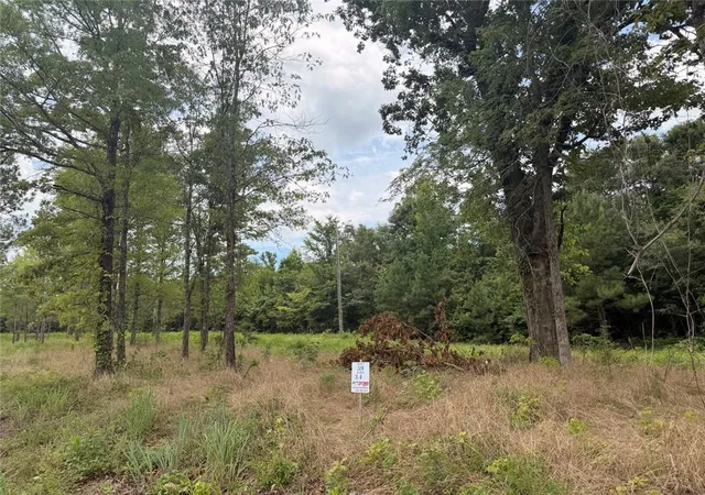 Homes for sale in Piedmont, AL | Lot 59 County Road 32, Piedmont, AL 36272 | MLS# 7804964