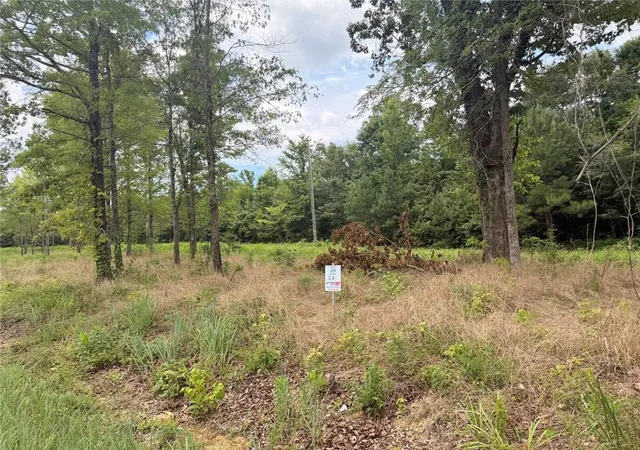 Homes for sale in Piedmont, AL | Lot 59 County Road 32, Piedmont, AL 36272 | MLS# 7804964