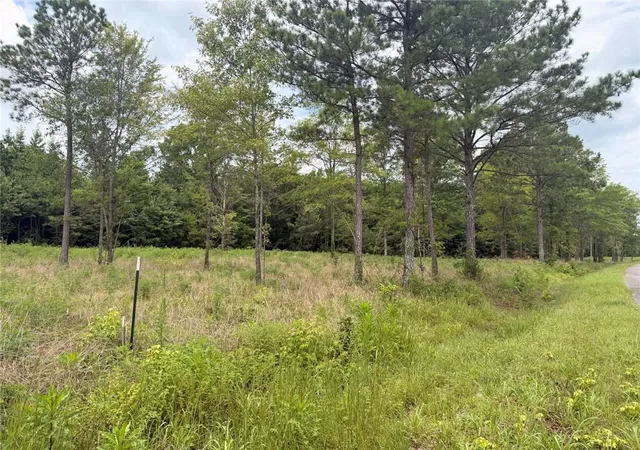 Homes for sale in Piedmont, AL | Lot 59 County Road 32, Piedmont, AL 36272 | MLS# 7804964