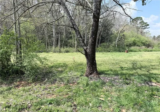 Photo 3 of Land for sale at 00 Old Columbus Rd, Bowdon, GA 30108 | MLS# 7742335 | Listing updated on 2026-07-22