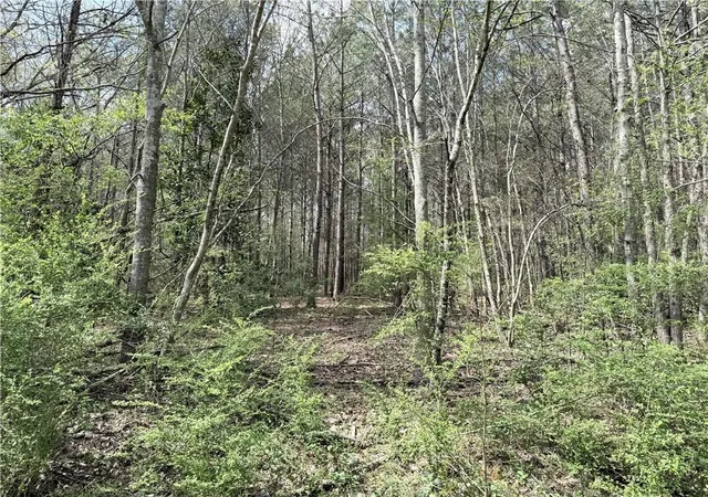 Photo 4 of Land for sale at 00 Old Columbus Rd, Bowdon, GA 30108 | MLS# 7742335 | Listing updated on 2026-07-22
