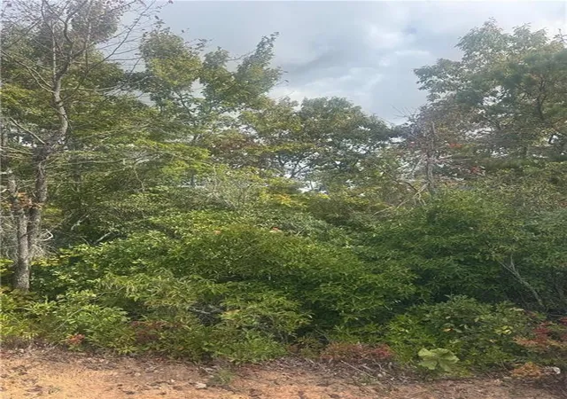 Photo 3 of Land for sale at Lot 16 Brown Hawk, Clayton, GA 30525 | MLS# 7752694 | Listing updated on 2026-06-30