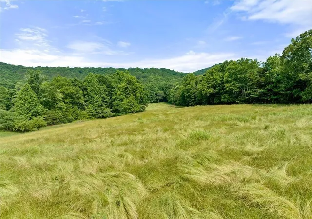 3rd image of 00 Freeman View Trail, Cleveland, GA 30528 | MLS# 7798426