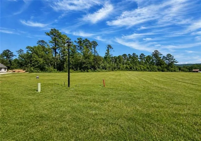 Photo 1 of Land for sale at 120 Palisade Dr, Rydal, GA 30171 | MLS# 7812555 | Listing updated on 2026-10-15
