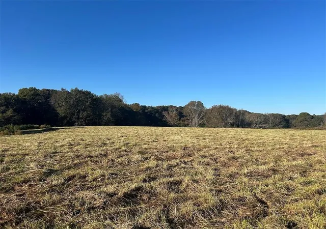 Land at 0 Old Columbus Rd, Bowdon, GA 30108 | MLS# 7789082 | | Sold on 2026-08-28
