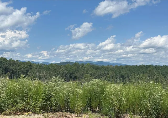 Photo 1 of Land for sale at 0 Larmon Forks Rd, Dahlonega, GA 30533 | MLS# 7846194 | Listing updated on 2026-09-30