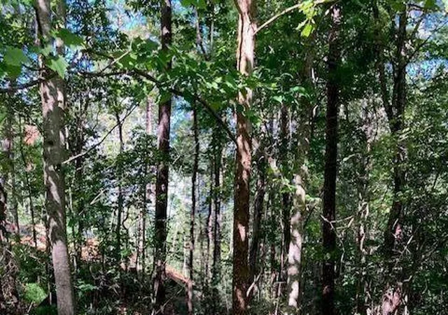 Photo 1 of Land for sale at 0 Red Oak Trl, Ellijay, GA 30540 | MLS# 7794084 | Listing updated on 2026-10-16