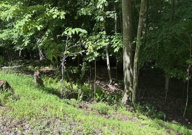 Photo 3 of Land for sale at Lt 780 Omen Cir, Ellijay, GA 30540 | MLS# 7787116 | Listing updated on 2026-10-16