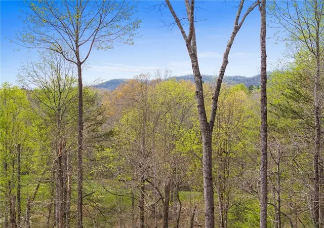 Photo 2 of Single family home for sale at 1134 Maggie Chapman Rd, Blue Ridge, GA 30513 | MLS# 7829190 | Listing updated on 2026-09-11