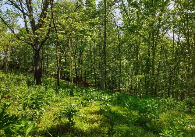 Photo 3 of Land for sale at Lot 2 Summit Dr, Dahlonega, GA 30533 | MLS# 7754090 | Listing updated on 2026-08-21