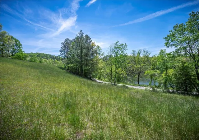 1st image of Lt2 2a Jonica Gap Rd, Mineral Bluff, GA 30559 | MLS# 7800328