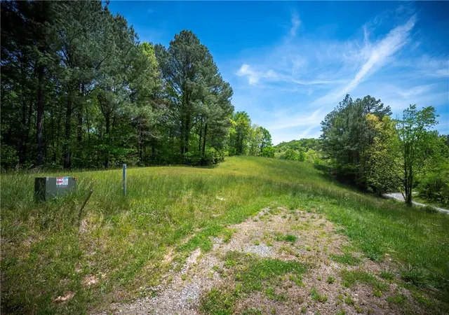 3rd image of Lt2-2A Jonica Gap Rd, Mineral Bluff, GA 30559 | MLS# 7800328