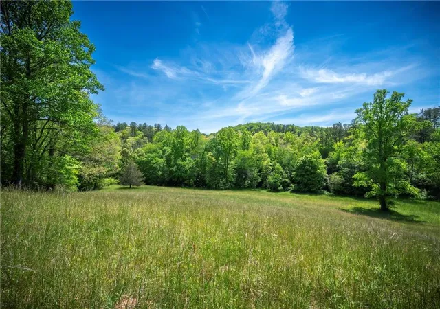 4th image of Lt2-2A Jonica Gap Rd, Mineral Bluff, GA 30559 | MLS# 7800328