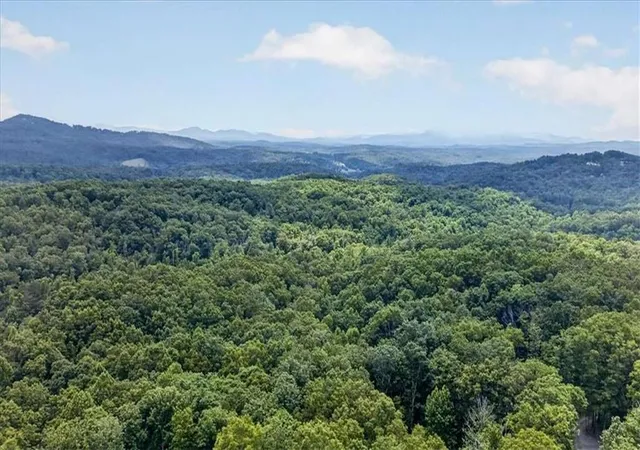 67th image of 648 Stuart Mountain Rd, Mineral Bluff, GA 30559 | MLS# 7792745