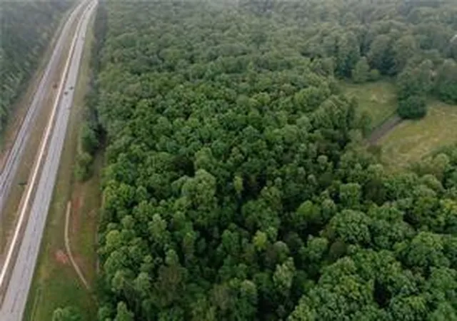 4th image of 0 Hwy 441, Clarkesville, GA 30523 | MLS# 7783109