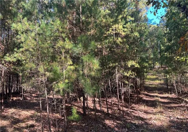 3rd image of 3455 Little Refuge Rd, Waleska, GA 30183 | MLS# 7798170